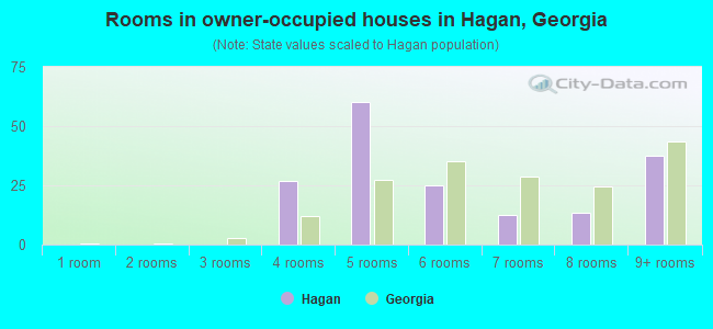 Rooms in owner-occupied houses in Hagan, Georgia