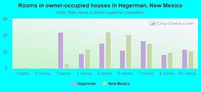 Rooms in owner-occupied houses in Hagerman, New Mexico