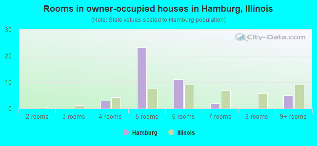 Rooms in owner-occupied houses in Hamburg, Illinois