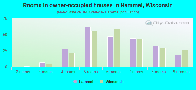 Rooms in owner-occupied houses in Hammel, Wisconsin