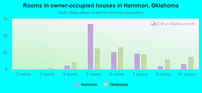 Rooms in owner-occupied houses in Hammon, Oklahoma