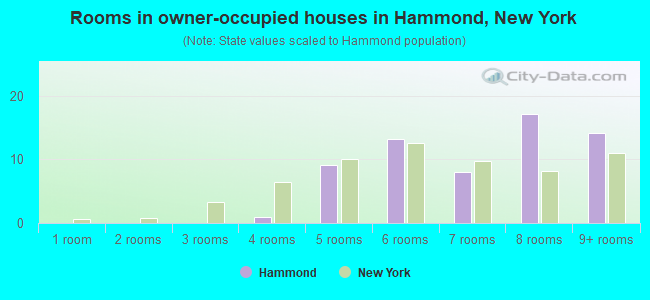 Rooms in owner-occupied houses in Hammond, New York