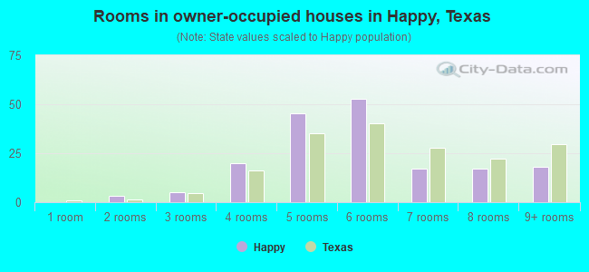 Rooms in owner-occupied houses in Happy, Texas