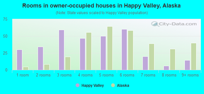 Rooms in owner-occupied houses in Happy Valley, Alaska
