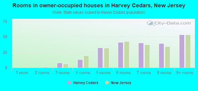 Rooms in owner-occupied houses in Harvey Cedars, New Jersey