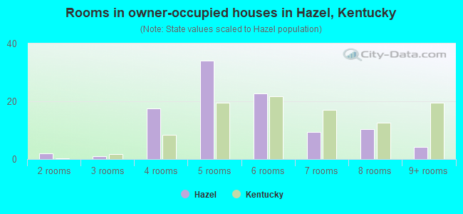 Rooms in owner-occupied houses in Hazel, Kentucky