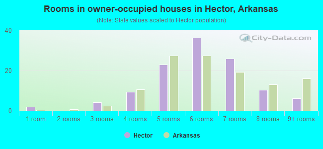 Rooms in owner-occupied houses in Hector, Arkansas