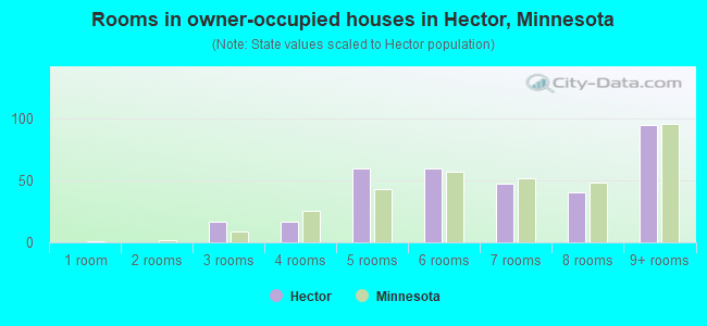 Rooms in owner-occupied houses in Hector, Minnesota