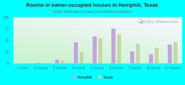 Rooms in owner-occupied houses in Hemphill, Texas
