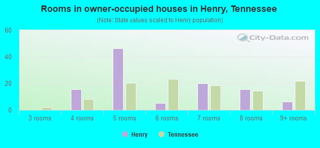 Rooms in owner-occupied houses in Henry, Tennessee