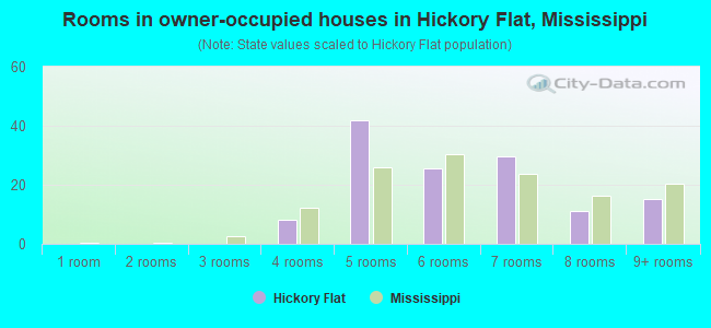 Rooms in owner-occupied houses in Hickory Flat, Mississippi