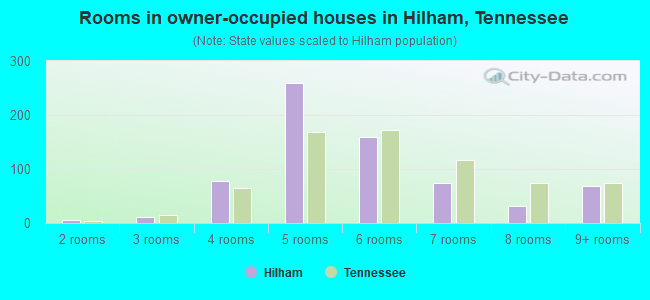 Rooms in owner-occupied houses in Hilham, Tennessee