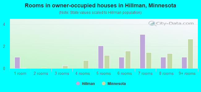 Rooms in owner-occupied houses in Hillman, Minnesota