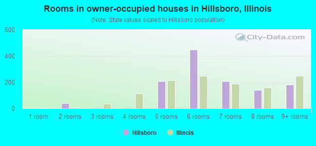 Rooms in owner-occupied houses in Hillsboro, Illinois