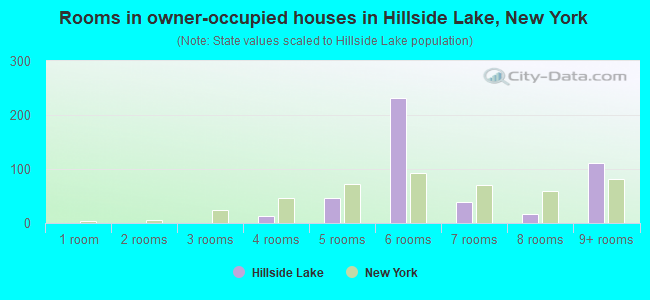 Rooms in owner-occupied houses in Hillside Lake, New York