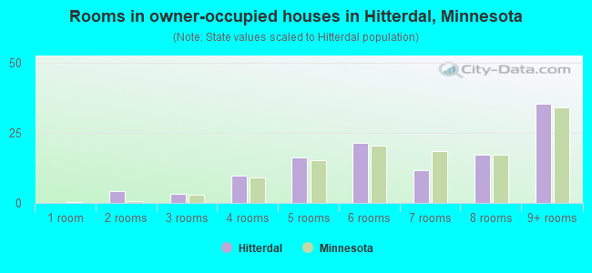 Rooms in owner-occupied houses in Hitterdal, Minnesota