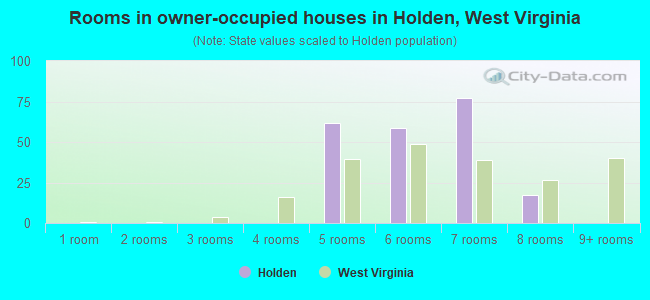 Rooms in owner-occupied houses in Holden, West Virginia