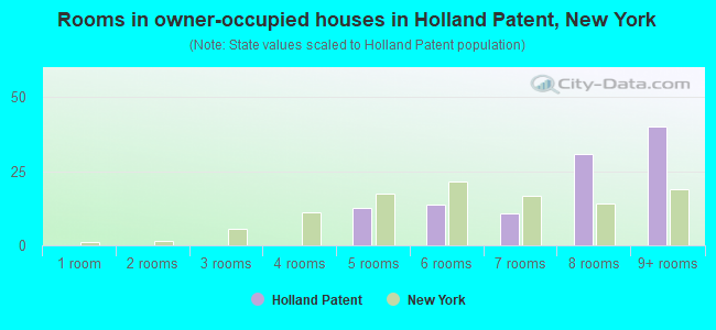 Rooms in owner-occupied houses in Holland Patent, New York