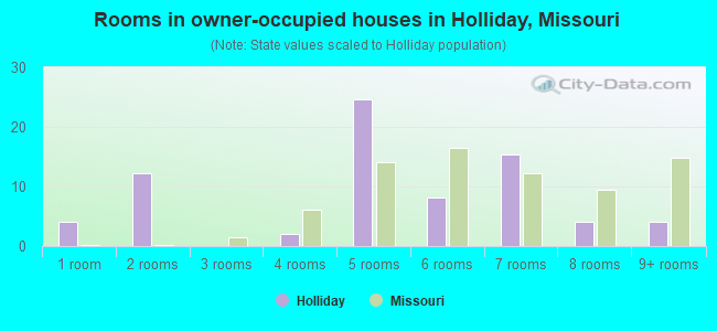 Rooms in owner-occupied houses in Holliday, Missouri