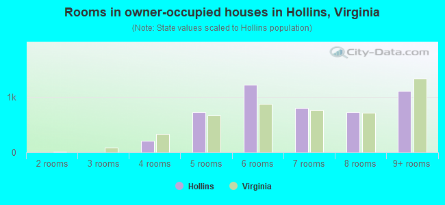 Rooms in owner-occupied houses in Hollins, Virginia
