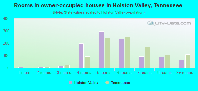 Rooms in owner-occupied houses in Holston Valley, Tennessee