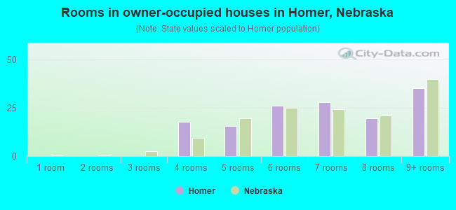 Rooms in owner-occupied houses in Homer, Nebraska