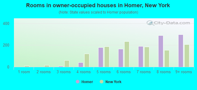 Rooms in owner-occupied houses in Homer, New York