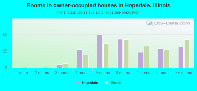 Rooms in owner-occupied houses in Hopedale, Illinois