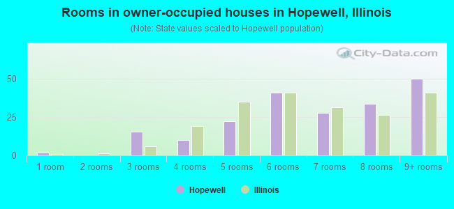 Rooms in owner-occupied houses in Hopewell, Illinois