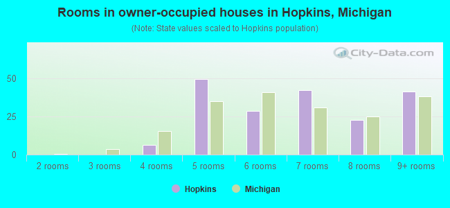 Rooms in owner-occupied houses in Hopkins, Michigan