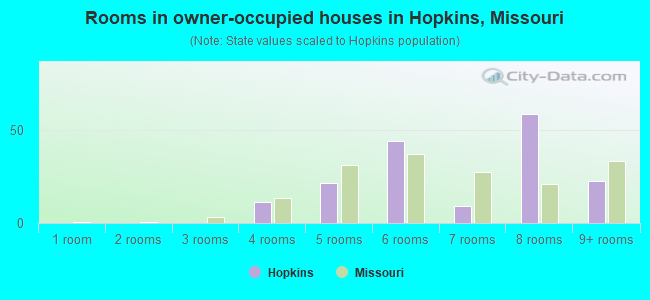 Rooms in owner-occupied houses in Hopkins, Missouri
