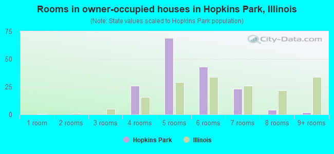 Rooms in owner-occupied houses in Hopkins Park, Illinois