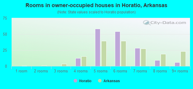 Rooms in owner-occupied houses in Horatio, Arkansas