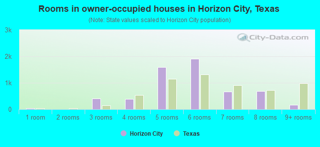 Rooms in owner-occupied houses in Horizon City, Texas
