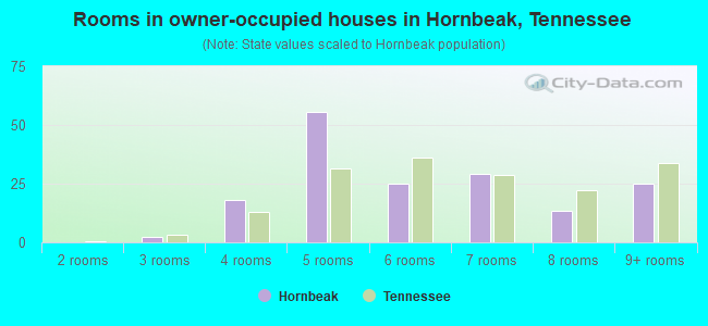Rooms in owner-occupied houses in Hornbeak, Tennessee