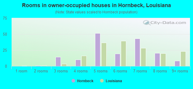 Rooms in owner-occupied houses in Hornbeck, Louisiana