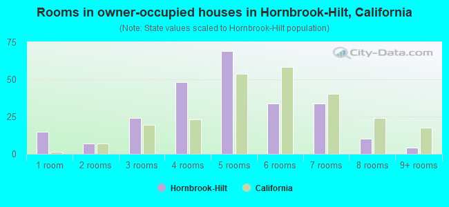 Rooms in owner-occupied houses in Hornbrook-Hilt, California