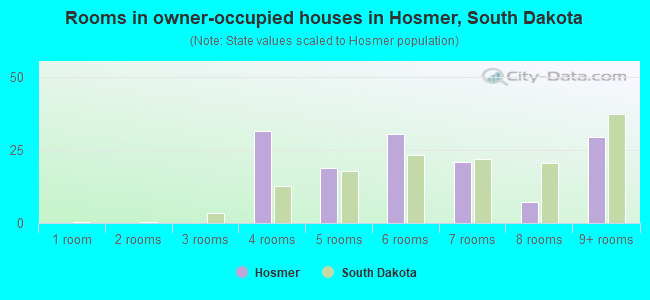 Rooms in owner-occupied houses in Hosmer, South Dakota