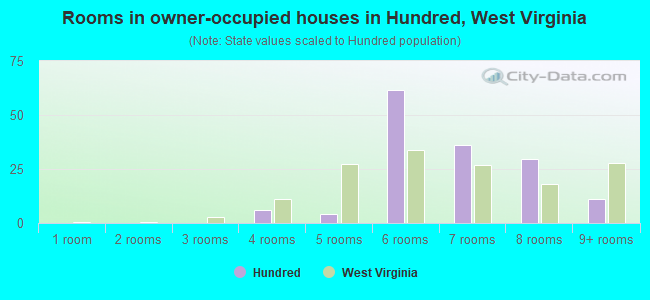 Rooms in owner-occupied houses in Hundred, West Virginia