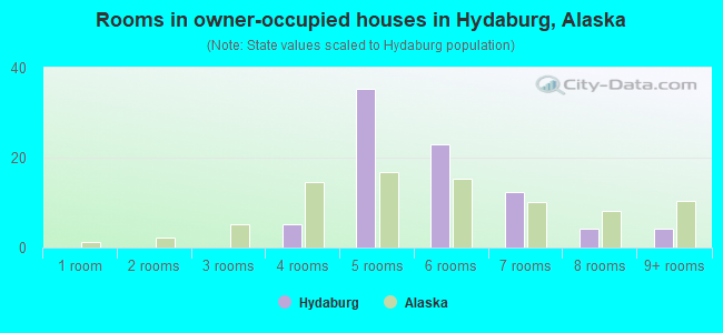 Rooms in owner-occupied houses in Hydaburg, Alaska