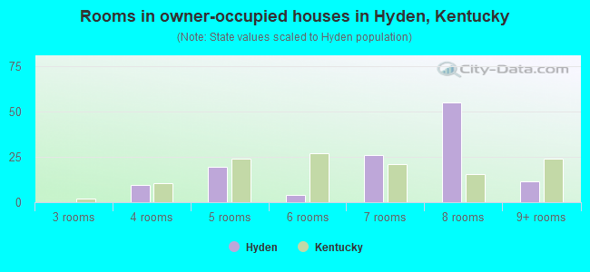 Rooms in owner-occupied houses in Hyden, Kentucky