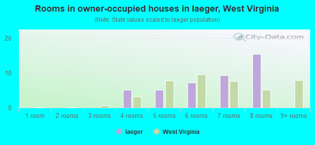 Rooms in owner-occupied houses in Iaeger, West Virginia