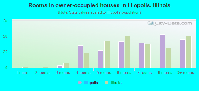 Rooms in owner-occupied houses in Illiopolis, Illinois