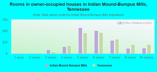 Rooms in owner-occupied houses in Indian Mound-Bumpus Mills, Tennessee