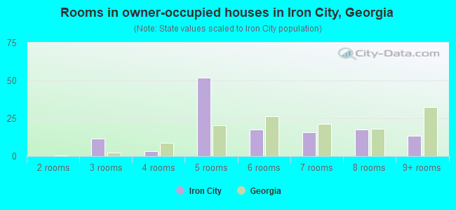 Rooms in owner-occupied houses in Iron City, Georgia