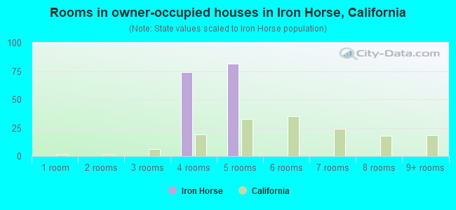 Rooms in owner-occupied houses in Iron Horse, California