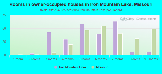 Rooms in owner-occupied houses in Iron Mountain Lake, Missouri
