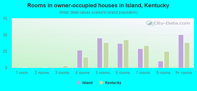 Rooms in owner-occupied houses in Island, Kentucky