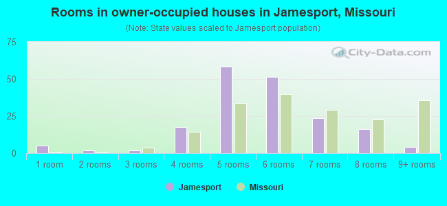 Rooms in owner-occupied houses in Jamesport, Missouri