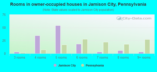 Rooms in owner-occupied houses in Jamison City, Pennsylvania